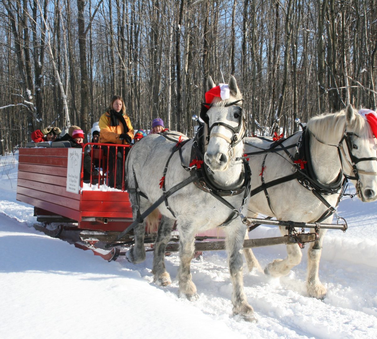 sleigh-ride-2008