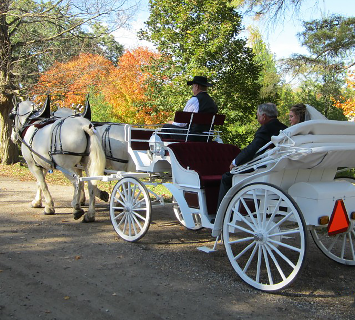 white-wedding-carriage-portfolio