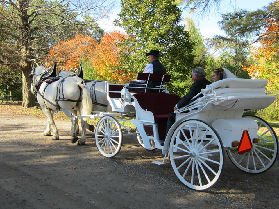 white-wedding-carriage-portfolio