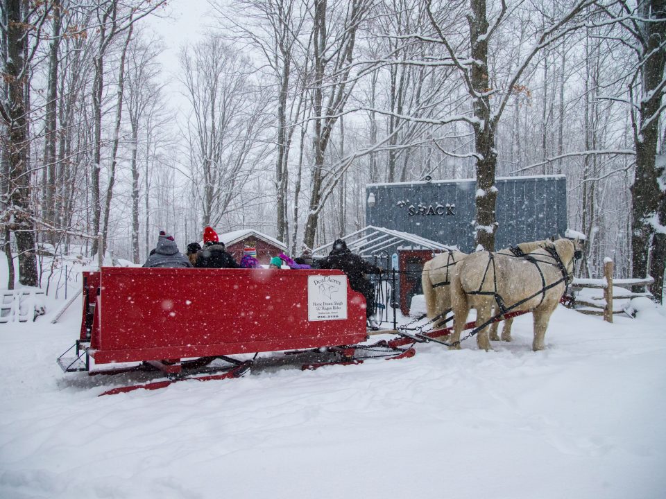 winter-sleigh-ride-1