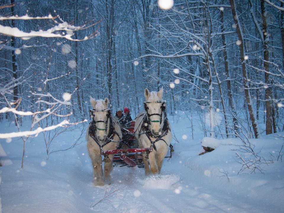 evening-sleigh-ride