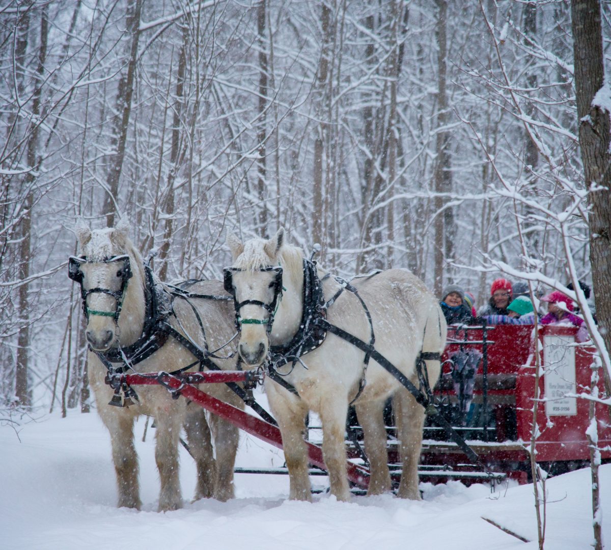 winter-sleigh-ride-3