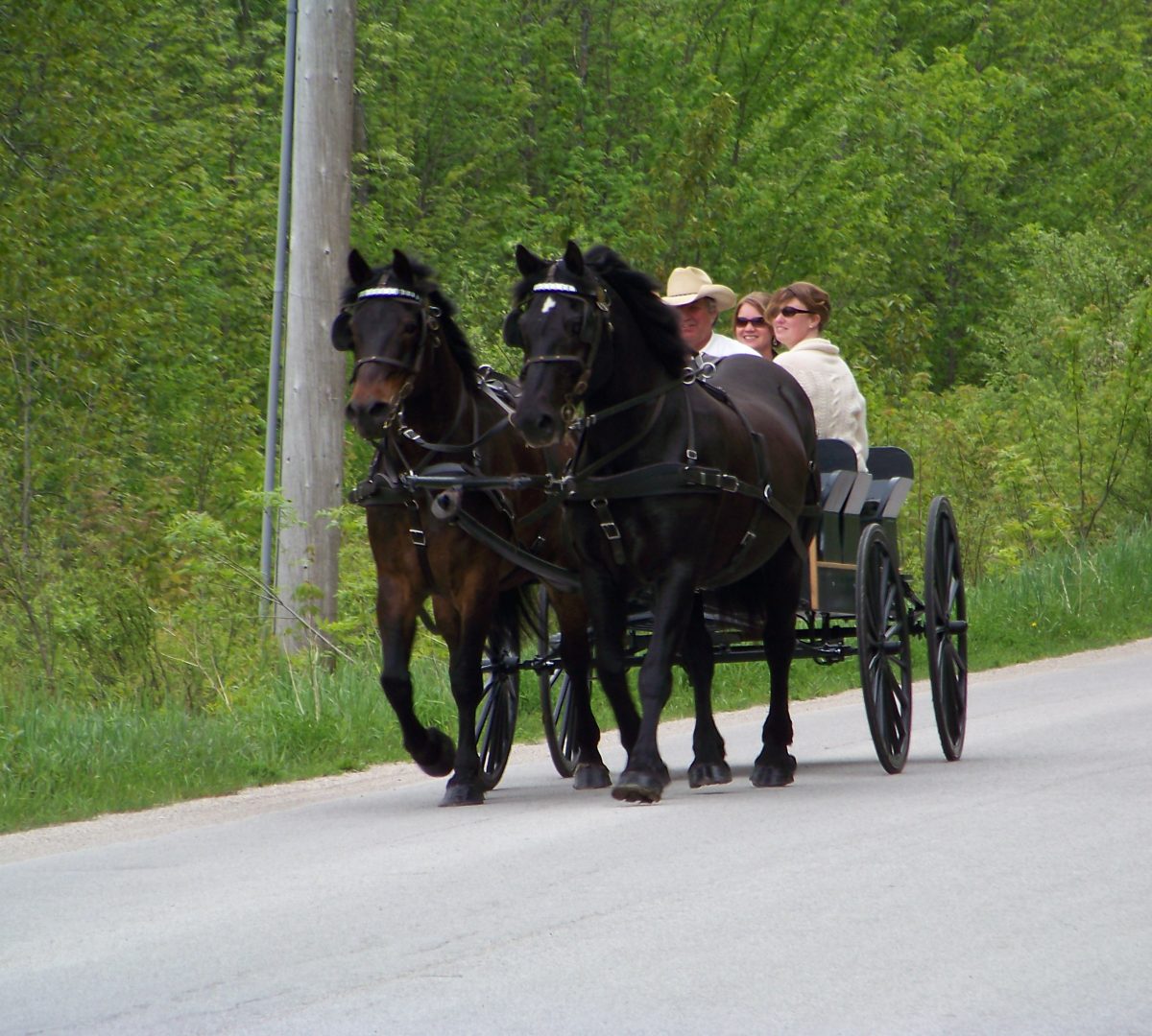 summer-wedding-2009