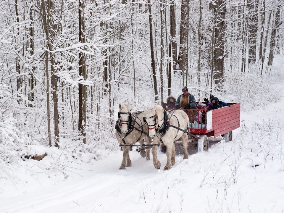 Daytime-Sleigh-Ride