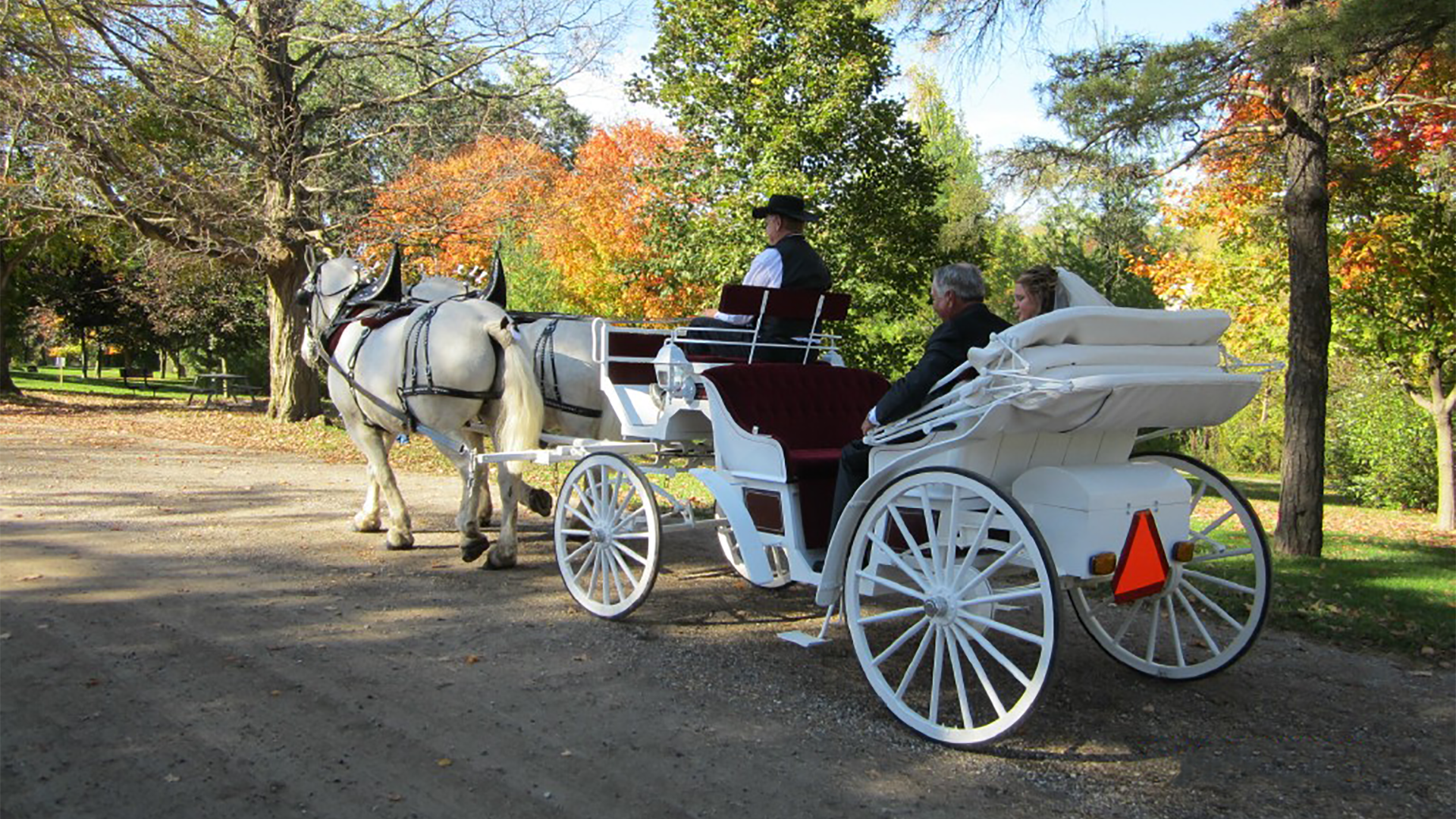 white-wedding-carriage-portfolio