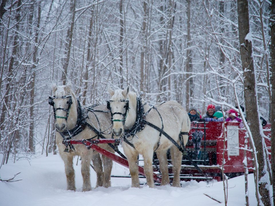 winter-sleigh-ride-3